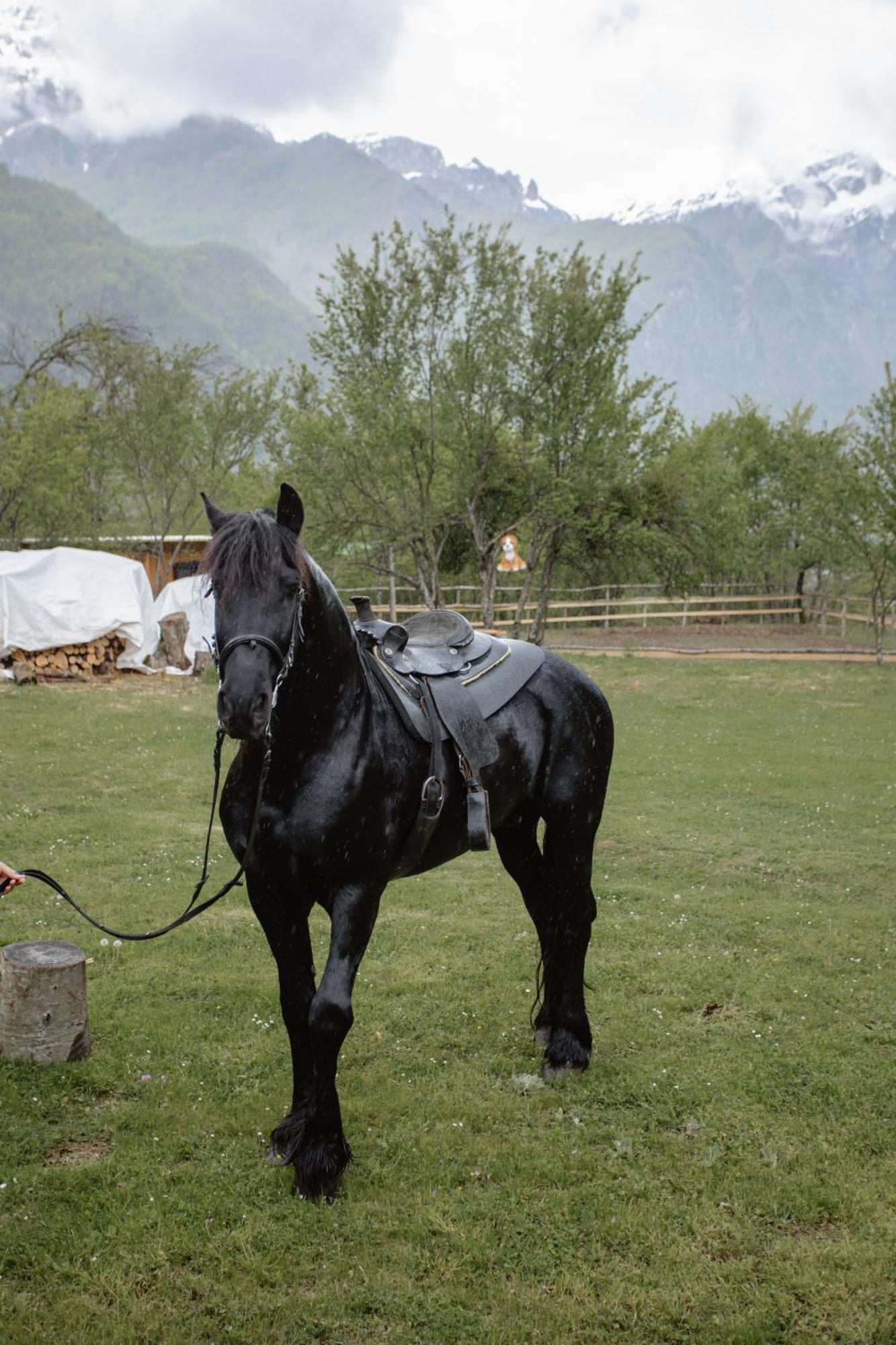 Shpija Ujevara E Vogel Theth Exteriér fotografie